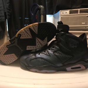 Jordan 6 Chameleon